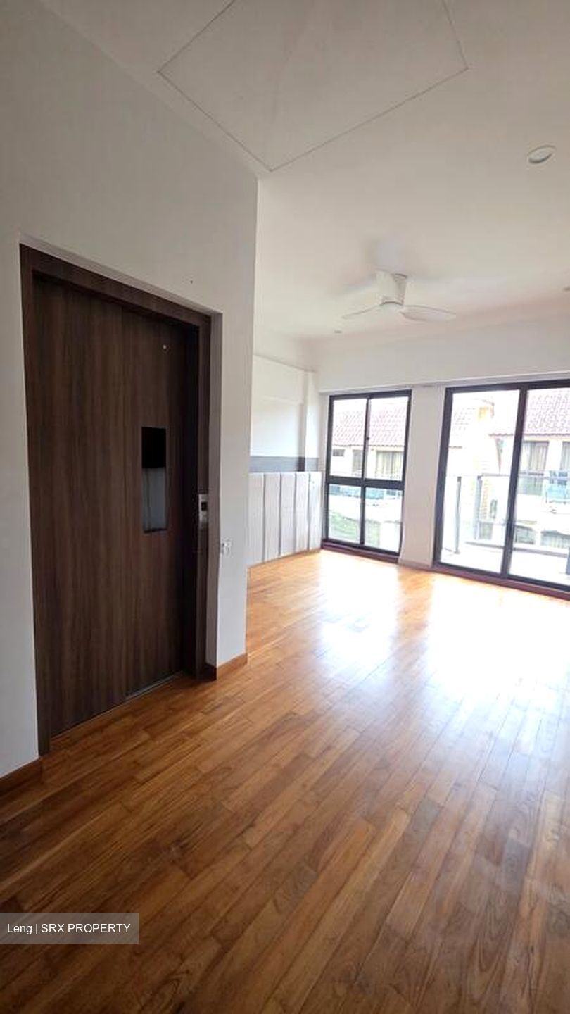 Holland Link (D10), Terrace #509647081